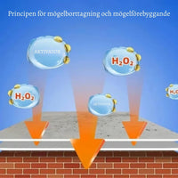 MögelFri Hem – Ett fräschare hem, utan ansträngning