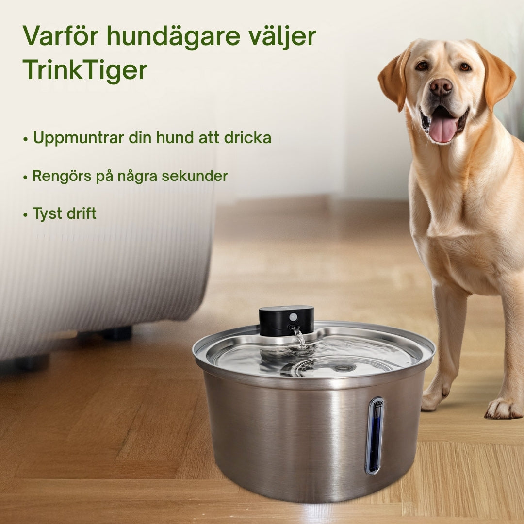 TrinkTig – Rinnande vatten som din hund vill dricka