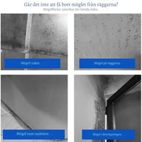 MögelFri Hem – Ett fräschare hem, utan ansträngning