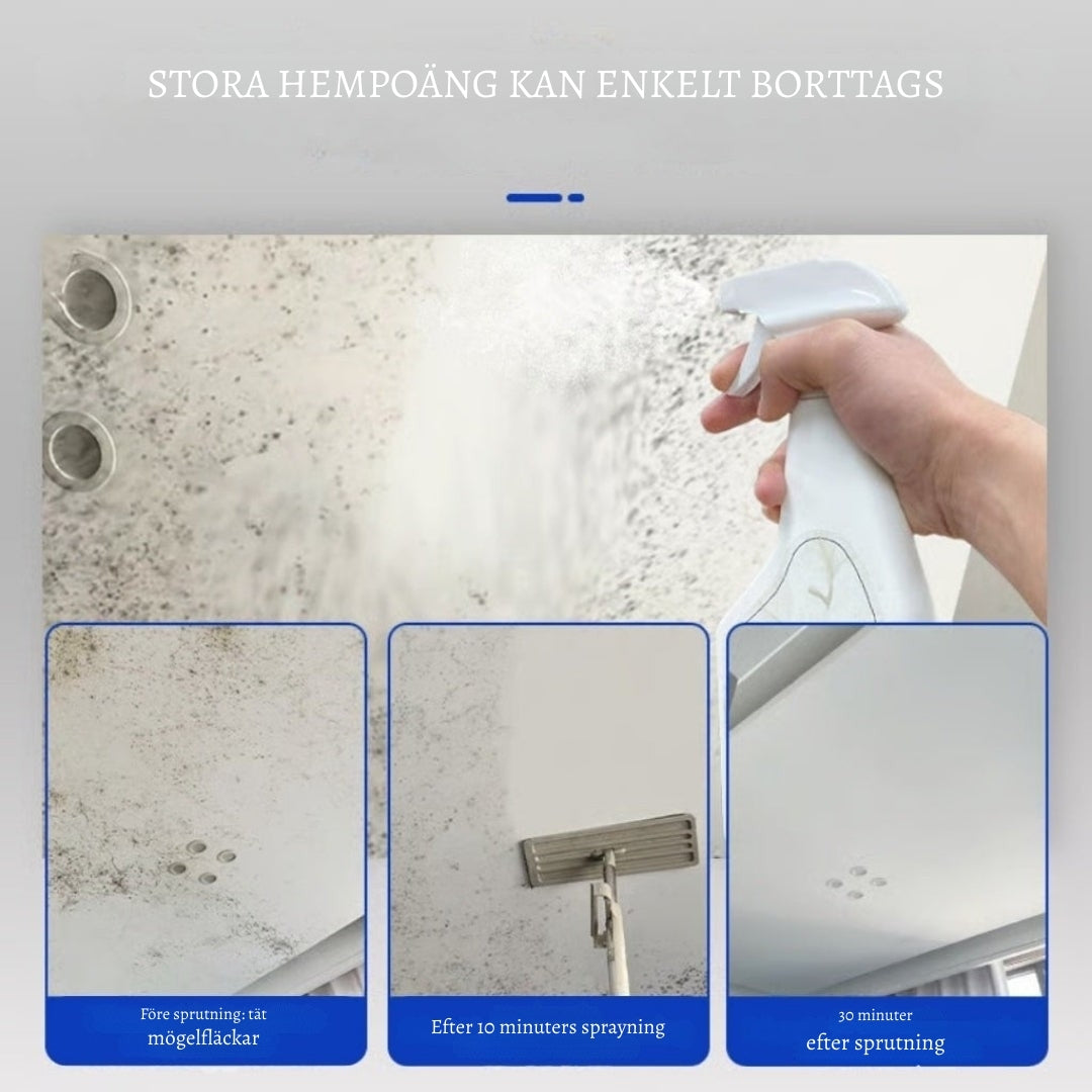 MögelFri Hem – Ett fräschare hem, utan ansträngning