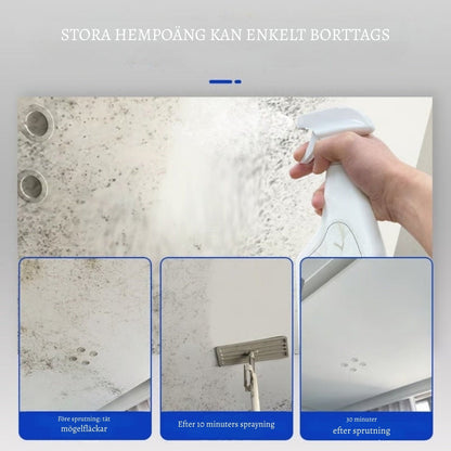 MögelFri Hem – Ett fräschare hem, utan ansträngning