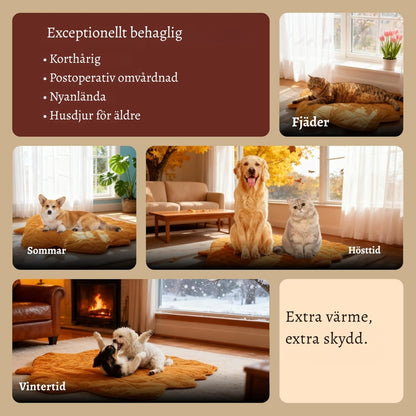 VärmPäls – Den varma liggplatsen din hund förtjänar