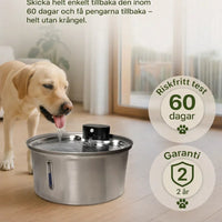 TrinkTig – Rinnande vatten som din hund vill dricka